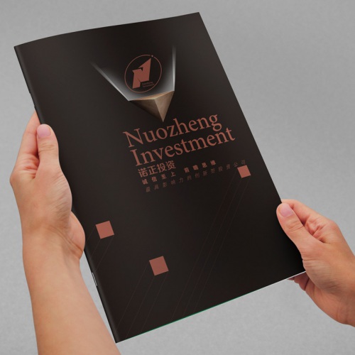 企業(yè)畫(huà)冊設計-四川投資管理公司形象宣傳冊設計效果圖|投資管理企業(yè)品牌畫(huà)冊設計印刷制作