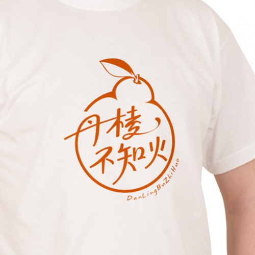 VI設計-丹棱不知火品牌形象升級設計_眉山市丑柑桔橙水果產(chǎn)品品牌視覺(jué)識別系統LOGO及包裝設計