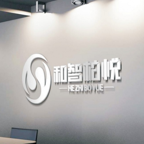 VI設計-成都和智柏悅科技有限公司LOGO設計_四川科技企業(yè)品牌形象VI視覺(jué)設計